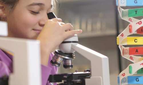 Uğur Okulları’ndan MEB müfredat değişikliğiyle ilgili ilk değerlendirme