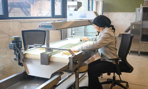 BAU Farm’da üretimin gücü ‘kadınlar’