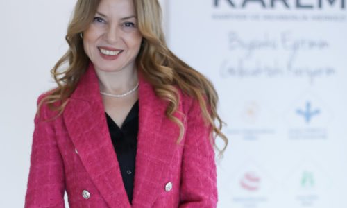 AYT’de belirleyici olan tüm adayların performans dağılımı olacak