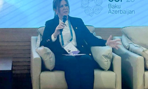 BAU Rektörü Prof. Dr. Esra Hatipoğlu: “İklim krizi sosyo-ekonomik problemleri de tetikliyor”