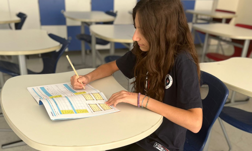 LGS’ye girecek öğrencilere son 30 gün önerileri